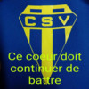 Logo du CS Vauciennes