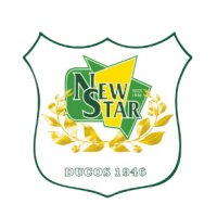 Logo du New Star Ducos