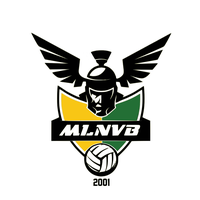 Logo du Mandelieu la Napoule VB 8