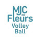 Logo MJC des Fleurs Volleyball - Pau 4