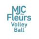 Logo MJC des Fleurs Volleyball - Pau 5