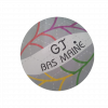 Logo du GJ Bas Maine
