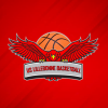 Logo du US Lillebonne Basket-Ball