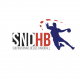 Logo Sud Nivernais Decize HB 3