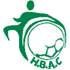 Logo du Handball Avenir Couizanais