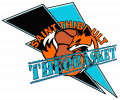 Logo du Théobasket - St Thibault des Vignes