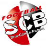 SC Briard Football 2