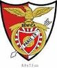 Logo du Benfica Portugais Paris 19Eme A