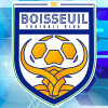 Logo du Boisseuil FC