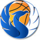 Logo Cherbourg Basket Ball 5