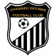 Logo Chassieu Décines FC