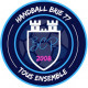 Logo Handball Brie 77 3