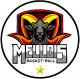 Logo Basket Ball Mellois