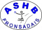 Logo AS HB du Fronsadais 2