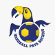 Logo Handball Pays Rochois 2