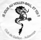 Logo Volley-Ball Gaillon Aubevoye 3