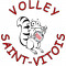 Logo Volley Saint Vitois 2