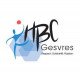 Logo Handball Club du Gesvres
