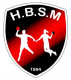 Logo Handball St Maurice l'Exil 2