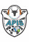 Logo Bordeaux Lac Apis Handball