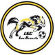 Logo LSG - Les Brouzils 2