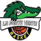 Logo La Porte Verte Basket