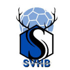 Logo Sèvre Vendée Handball - Moins de 16 ans
