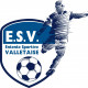 Logo ES Vallet Foot