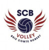 SC Briard Volley