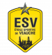 Logo Étoile Sportive de Veauche 3