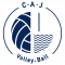 Logo Conflans Andrésy Jouy Volley-Ball 3