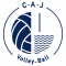 Logo Conflans Andrésy Jouy Volley-Ball