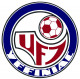 Logo Union Football Yffiniac 2