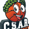 Logo CS Aigrefeuille Remouillé Basket 2