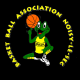 Logo Basket Ball Association Noiséenne