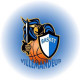 Logo MJC Villemandeur Basket