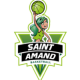 Logo Saint Amand Hainaut-Basket