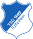 Logo Tsg Hoffenheim