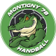 Logo AS Montigny le Bretonneux Handball 3