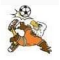 Logo FC Annay
