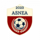 Logo Association Sportive Nord-Est-Anjou 3
