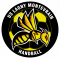 Logo US Lagny Montevrain Handball 2