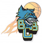 Logo Basket Club Balgentien - Moins de 15 ans