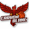 Logo Carbon-Blanc Basket