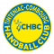 Logo Tinténiac Combourg Handball Club