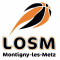 Logo Loisirs Sport Montigny 2