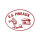 Logo Les Pineaux ES 2