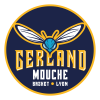 AL Gerland Mouche Lyon 2