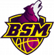Logo Basket Saint Macaire 3