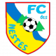 Logo FC des Nestes 3